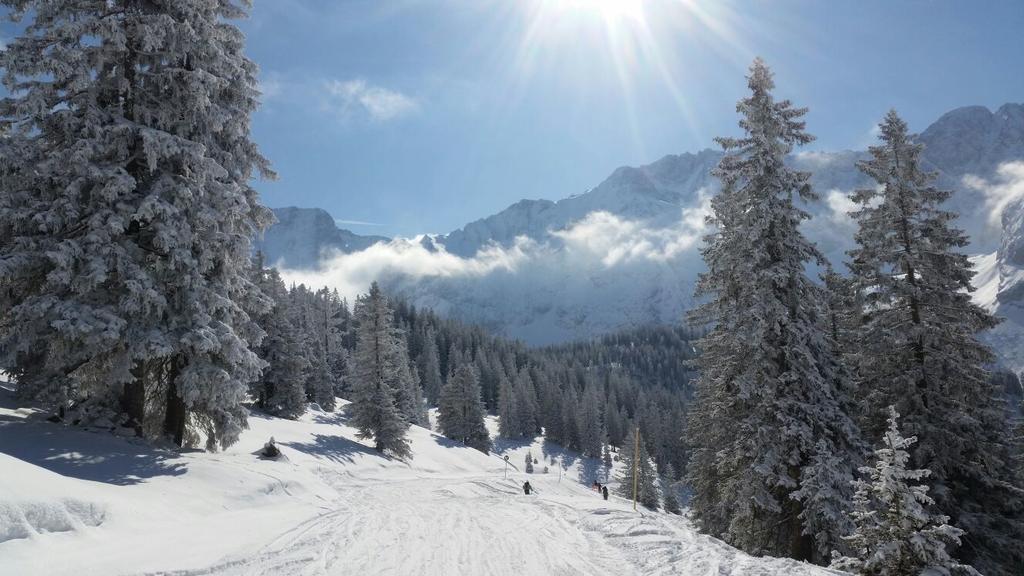 Pension Lischenhof Ehrwald Dış mekan fotoğraf