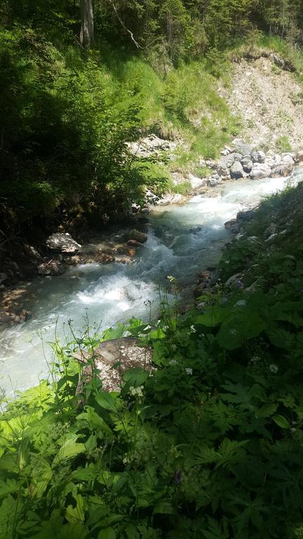 Pension Lischenhof Ehrwald Dış mekan fotoğraf