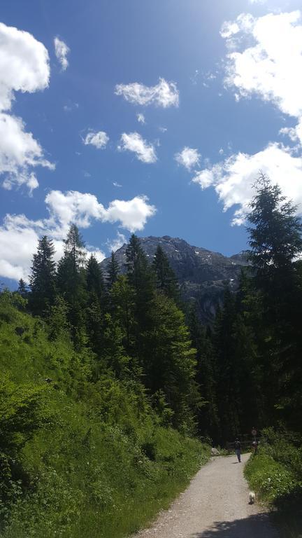 Pension Lischenhof Ehrwald Dış mekan fotoğraf