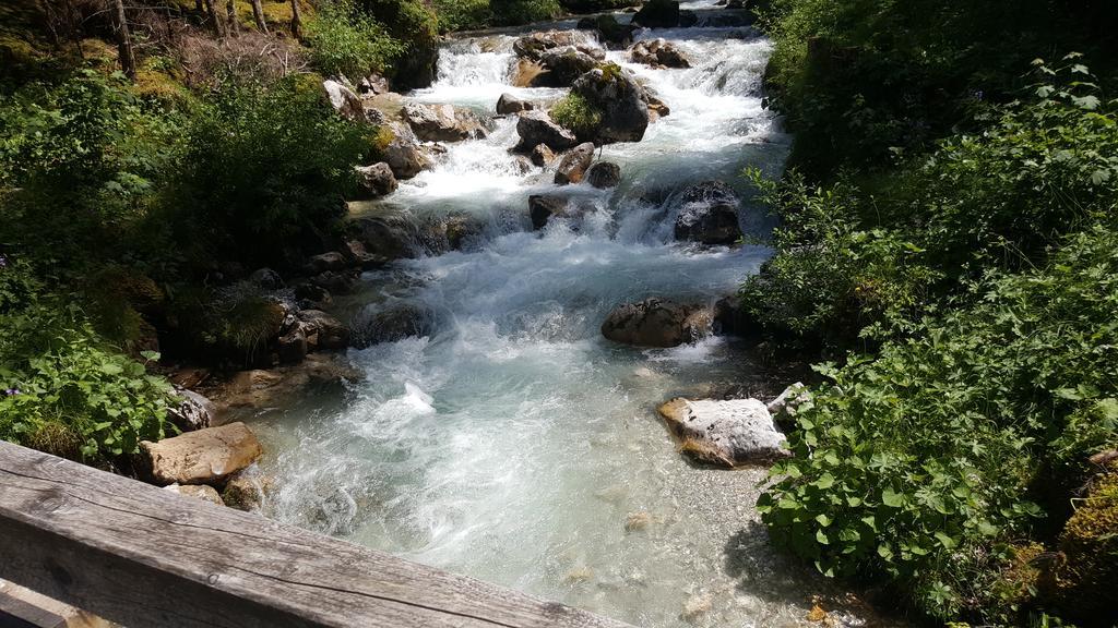 Pension Lischenhof Ehrwald Dış mekan fotoğraf