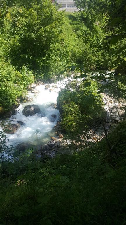 Pension Lischenhof Ehrwald Dış mekan fotoğraf